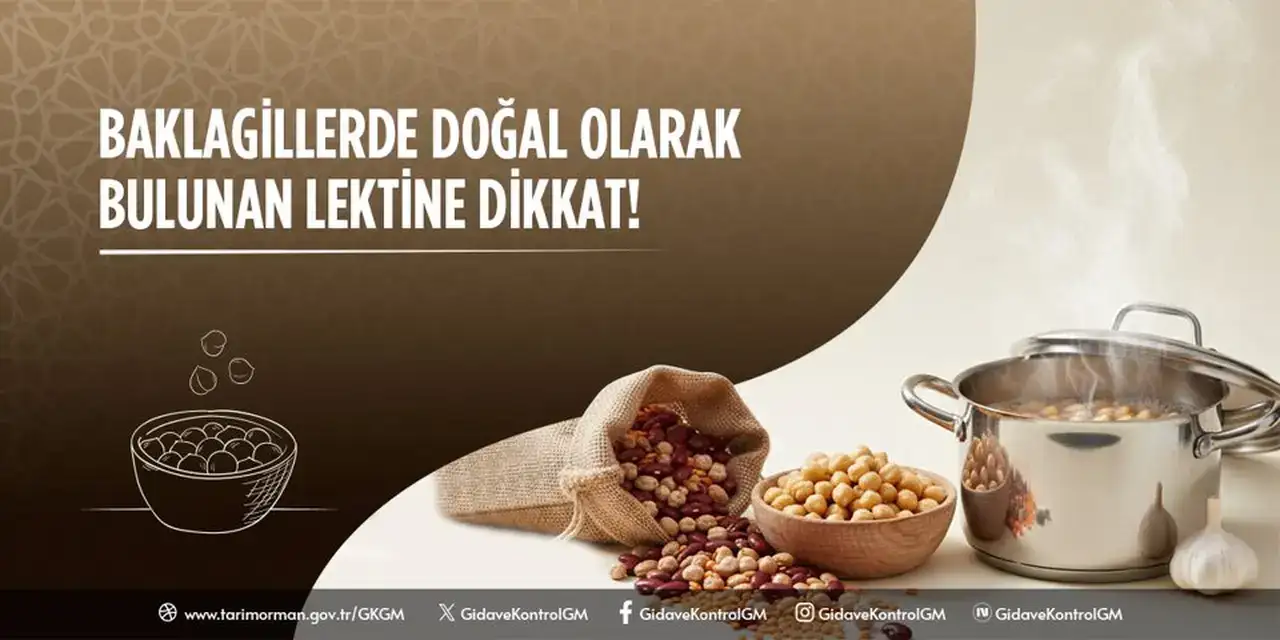Baklagillerde Doğal Lektin Uyarısı: Bakanlıktan Rehber 6